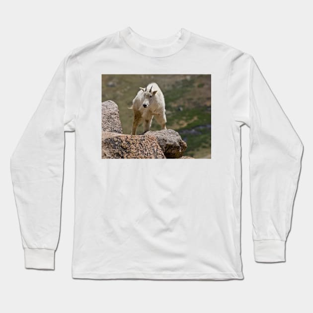 Mountain Goat Long Sleeve T-Shirt by algill